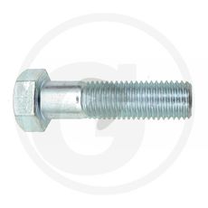 Screw