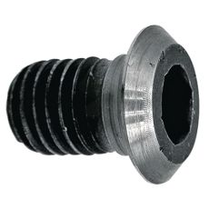 Screw - 145931.0
