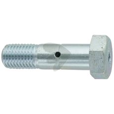 Special screw M24x85, 8.8