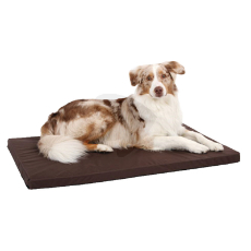 Dog pillow
