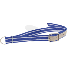Collar 1300 x 40mm Blue