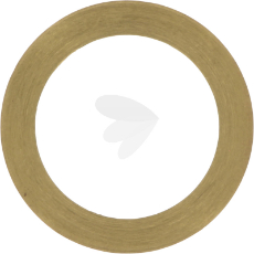 Disc