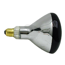 Infrared lamp 250 watt, red