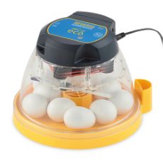 Egg incubator Mini II Eco