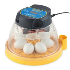 Egg incubator Mini II Advance