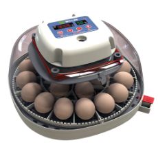 Egg incubator Willab with built-in egg lamp