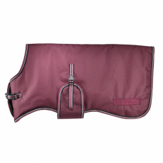 Calf & Foal Blanket Mira