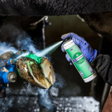 Repiderma wound spray 250 ml