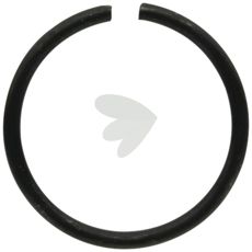 Snap ring 80600014