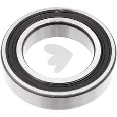 Bearing Clip-on transfer, 6009-2RS-1C5L