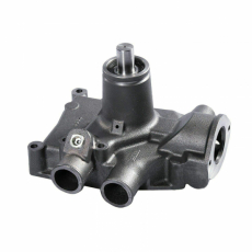 Water pump MF 3641887M91