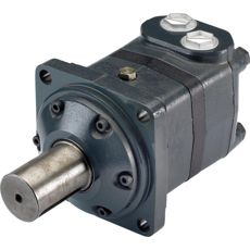 Engine BMV 315