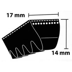 Fan belt 17X825La