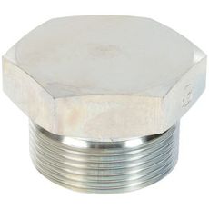 Plug Bsp 3/4 Ext