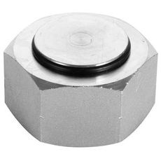 Cap Bsp 1/4 Int 60