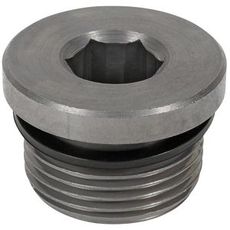 Hex plug Bsp 3/4 Ext
