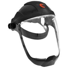Face shield