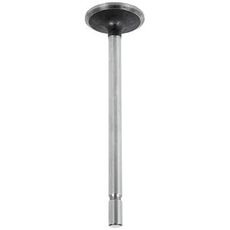 Intake valve Std - FO 81710772