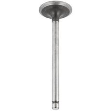 Intake valve Std 87800386