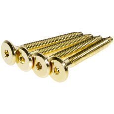 Hex Screw M6X50 Brass 4Pcs 310
