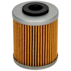 Oilfilter Polaris 2520755