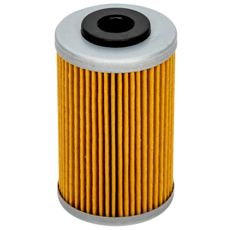 Oilfilter Polaris 2520754