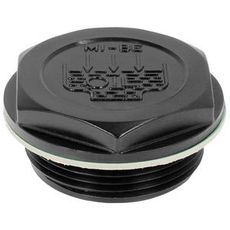 Oil Plug 1/2