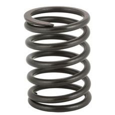 Valve spring Intake / Exhaust