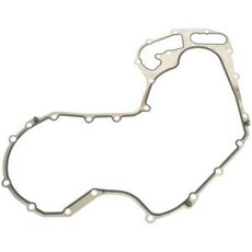 Cam Chain Cover Gasket Mf 4224958M1