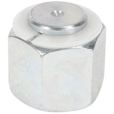 Plug Orfs 1 Int.Thread