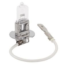 Bulb 293 100W H3