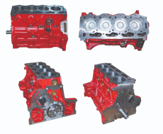 Short Engine Ford 5000 BSD444