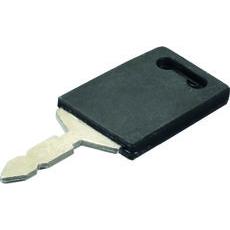 Ignition Key MF 35 - 829917M1