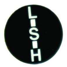 Gear Stick Decal MF - 1682631M1