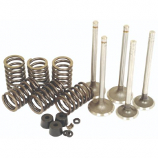 Valve Train Kit Ford 2000, 3000, 4000