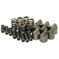 Cam+Spring Series 8Pcs Wk31-K35