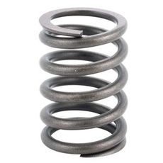 Valve Spring Intake / Exhaust - CIH 3044240R1