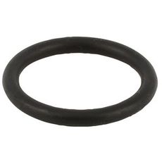 O-Ring for Flange Fiat New Holland, 70-65, 95-55
