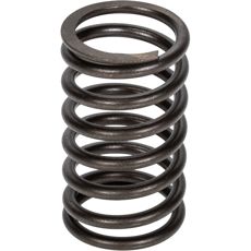 Valve spring outer intake / exhaust Valmet V836117910