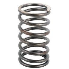 Valve spring Intake / Exhaust Fiat - 4689554