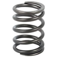 Valve spring Intake / Exhaust - 4780108