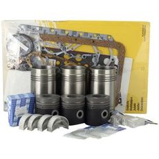 Engine Repair Kit Valmet 311Ds