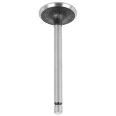 Intake Valve Std 1884123M1