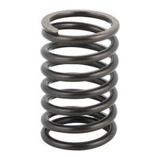 Valve Spring Intake / Exhaust - MF 831154M1