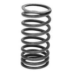 Valve Spring Intake / Exhaust Outer