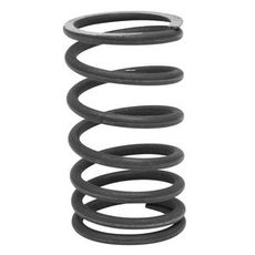 Valve Spring Intake / Exhaust Inner