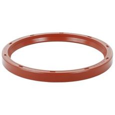 Crankshaft Seal Rear - 83955247