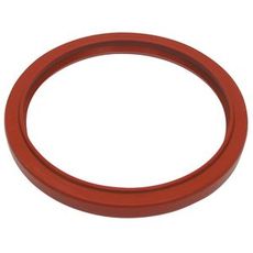 Rear Crankshaft Seal - IH 218271A1
