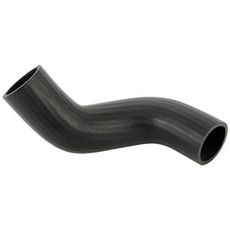 Top hose Ford - 81805632